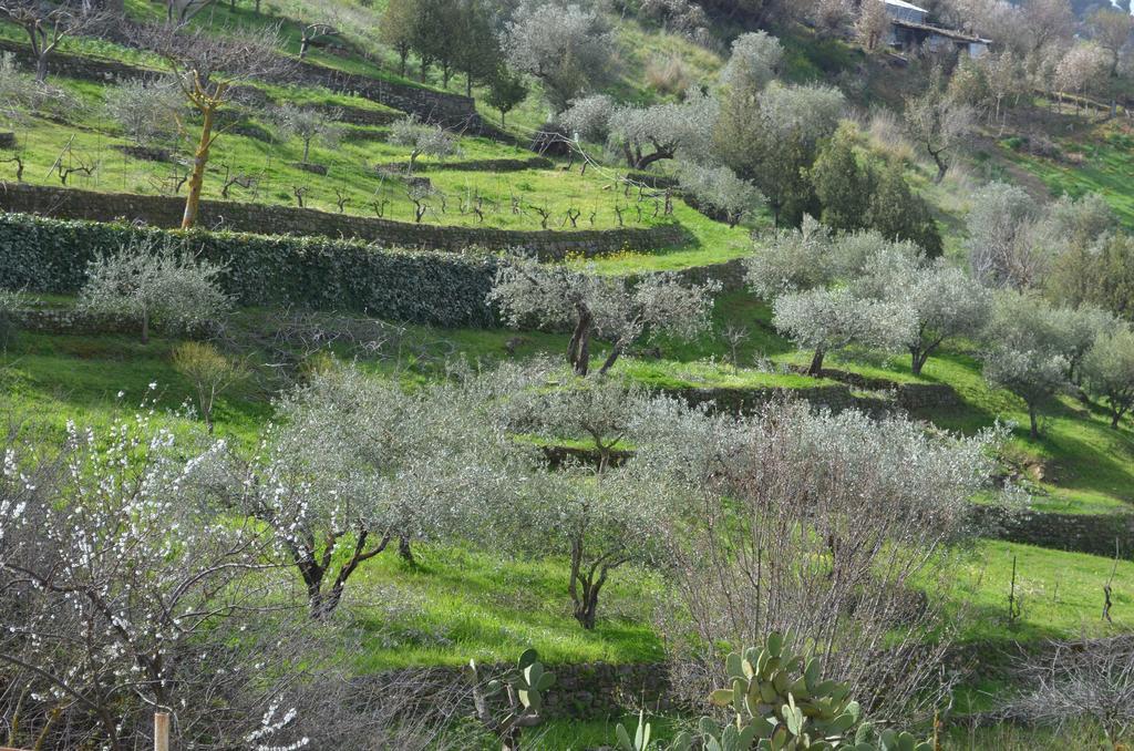 Villa Della Mimosa Alia Dış mekan fotoğraf