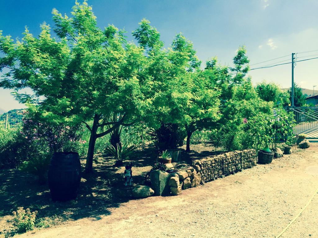 Villa Della Mimosa Alia Dış mekan fotoğraf
