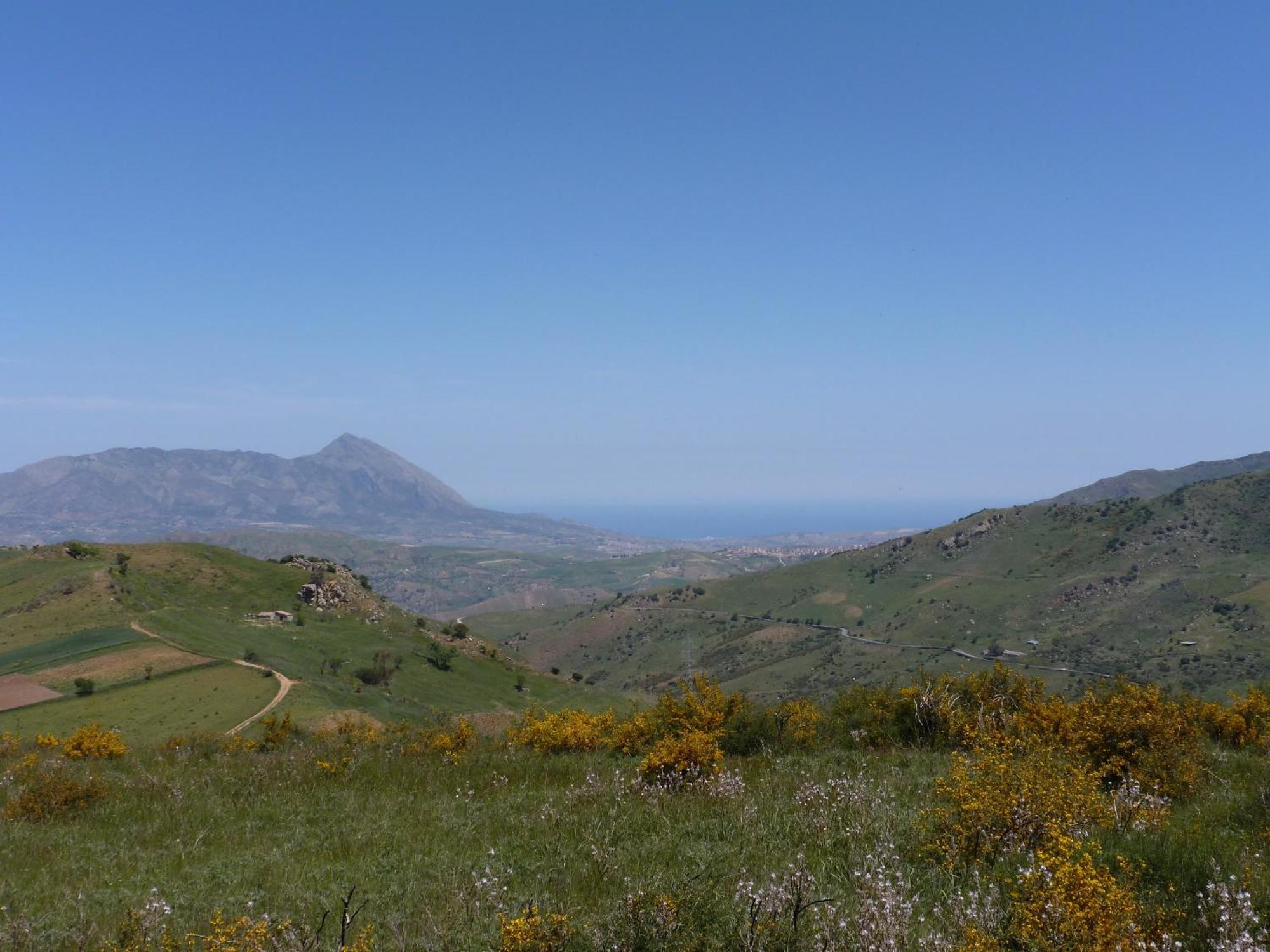 Villa Della Mimosa Alia Dış mekan fotoğraf