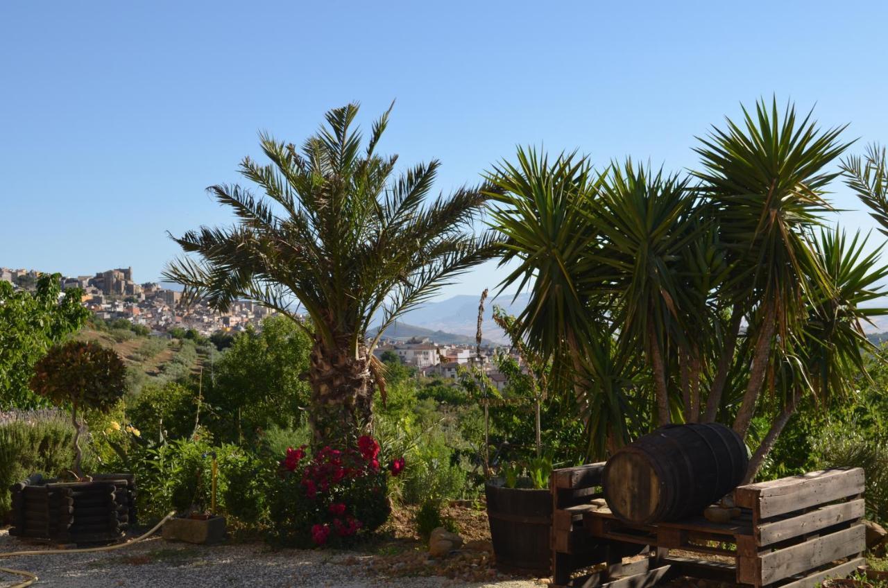 Villa Della Mimosa Alia Dış mekan fotoğraf